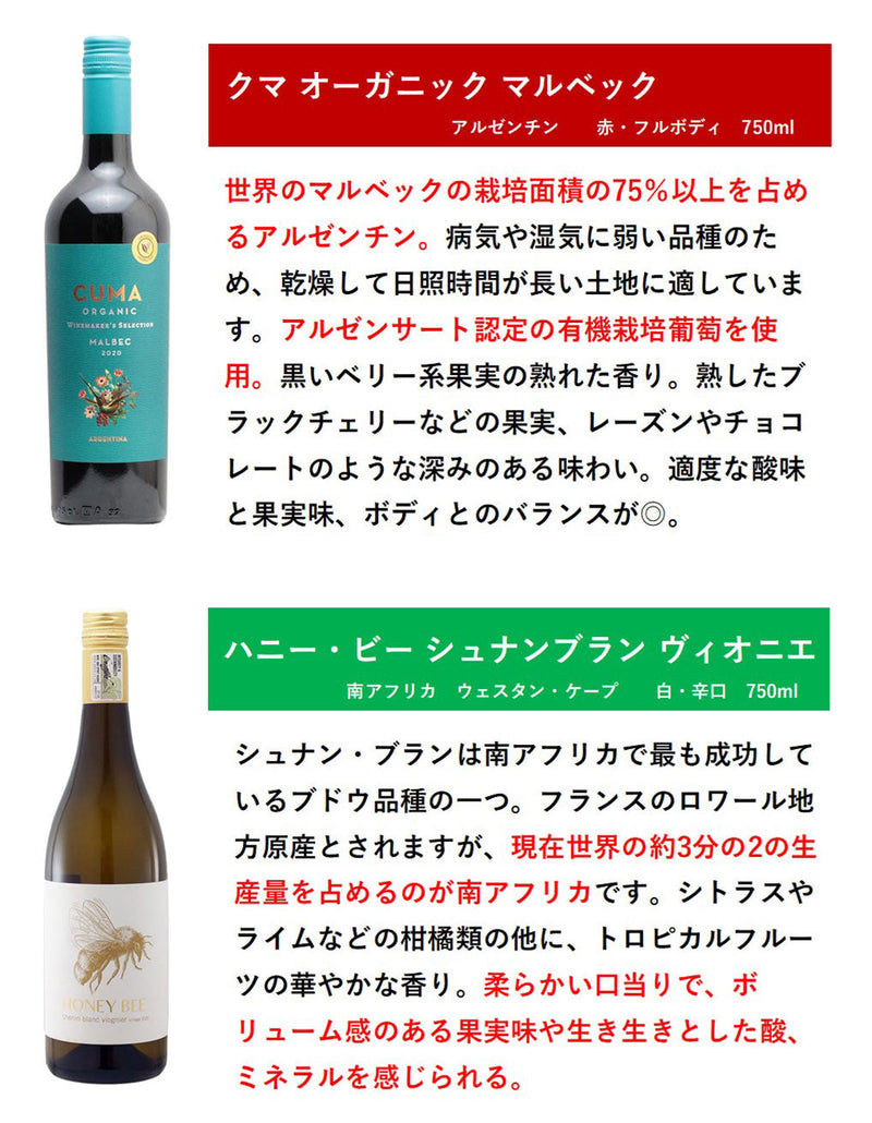 [Rugby powerful country is a wine brewery!] 6 sets of representative varieties of each country