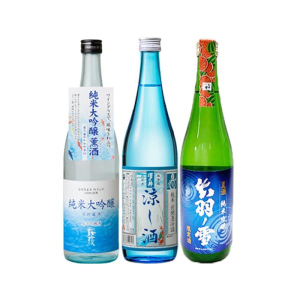 2024 Summer Sake junmai, junmai ginjo, junmai daiginjo drinking comparison 720ml 3 bottles