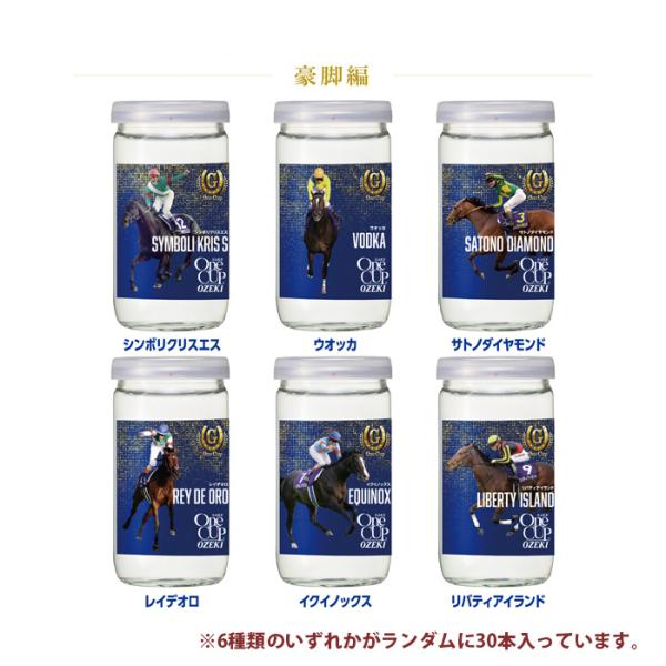 日本酒大関上撰ワンカップG-OneCup豪脚編180ml×1ケース/30本G-OneG1レース競馬新発売10/10以降順次発送致