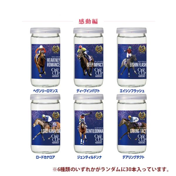 日本酒大関上撰ワンカップG-OneCup感動編180ml×1ケース/30本G-OneG1レース競馬新発売10/10以降順次発送致