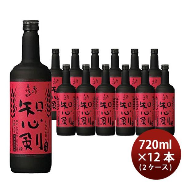 本格麦焼酎 知心剣 25度 720ml 12本 2ケース 宝酒造 麦焼酎