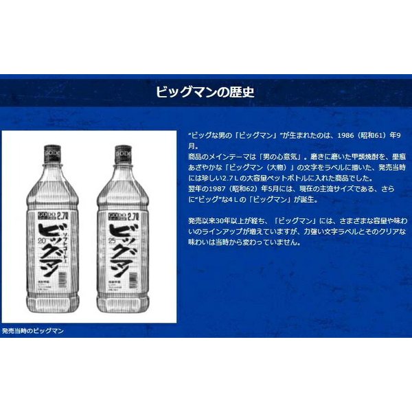 甲類焼酎 ビッグマン 20度 ペットボトル 合同酒精 4000ml 4L 1本 ギフト 父親 誕生日 プレゼント