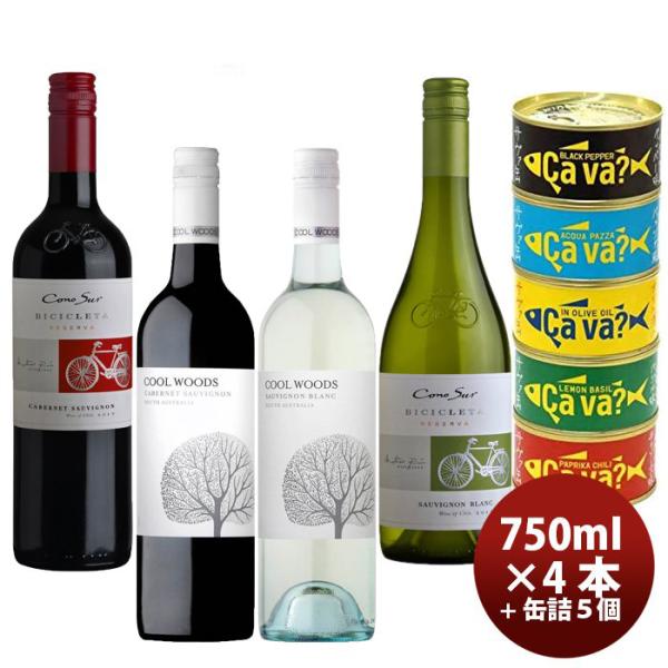 ワインセット カベルネS&ソーヴィニヨンB飲み比べ×サヴァ缶5種詰め合わせセット ギフト 父親 誕生日 プレゼント