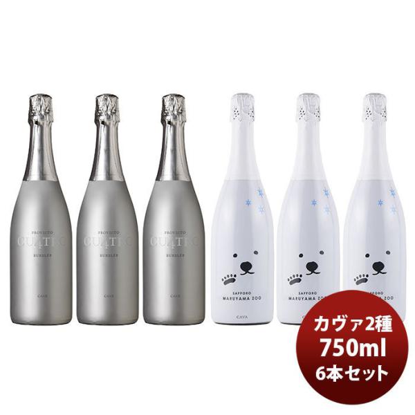 ワイン飲み比べセット エノテカさん一押し！ カヴァ2種×3本セット 750ml 6本セット スパーリングワイン