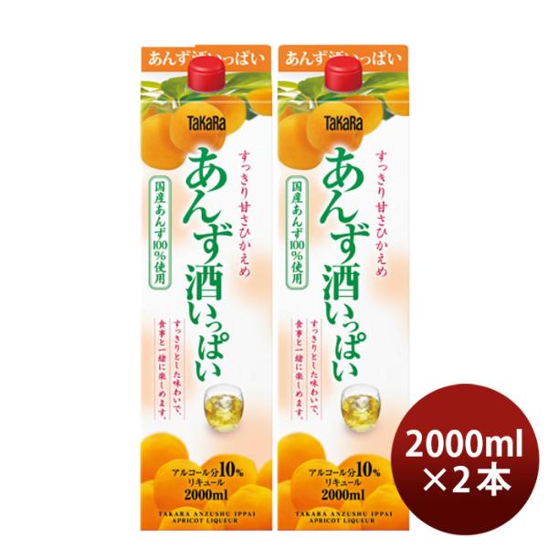 タカラあんず酒いっぱいパック2000ml2L2本宝宝酒造あんずリキュール国産