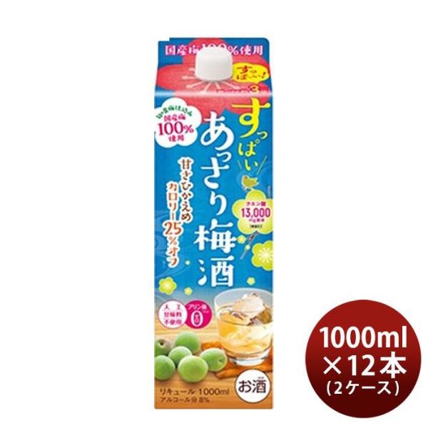 すっぱい あっさり梅酒 1L 1000ml 12本 2ケース 合同酒精 梅酒 パック