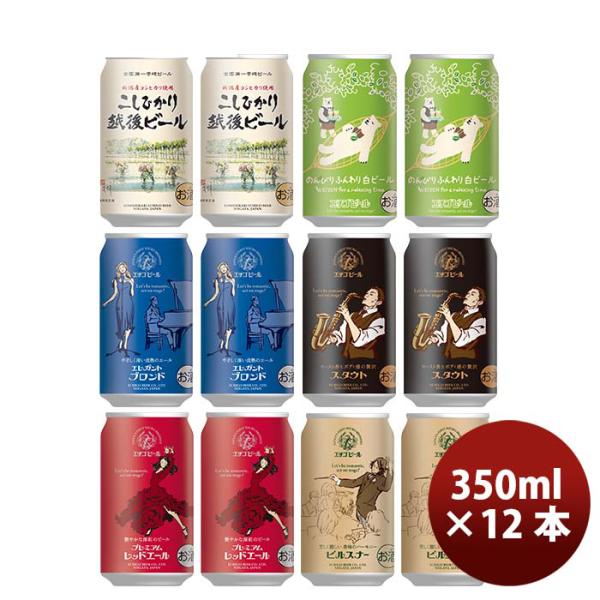 大人気！エチゴビール 定番品 クラフトビール 6種各2本 12本飲み比べセット