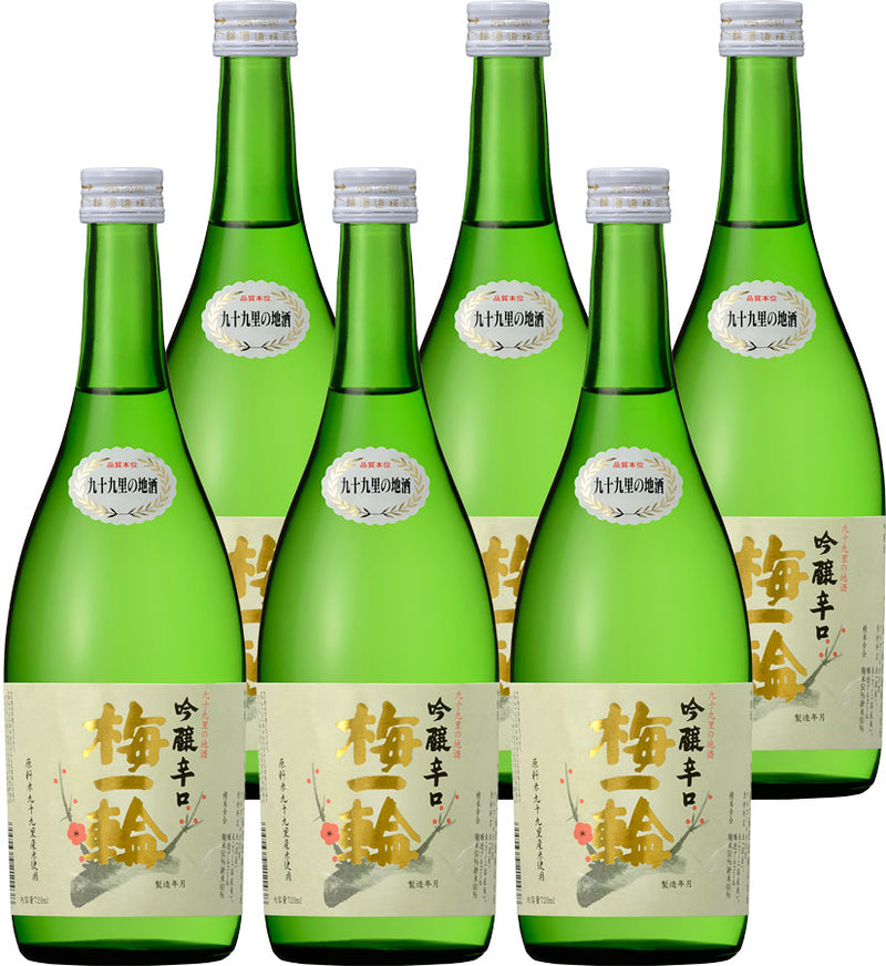 Tokusen Ginjo Karakuchi Ume Ichrin 720ml 6bottles