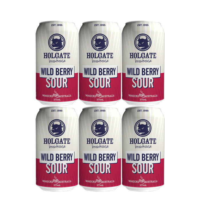 Holgate Wild Berry Sour 375ml x 6 btls beer